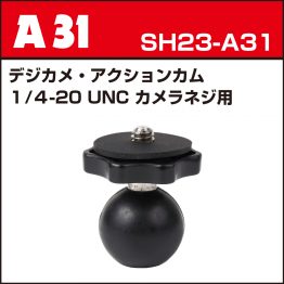 sh23-a31